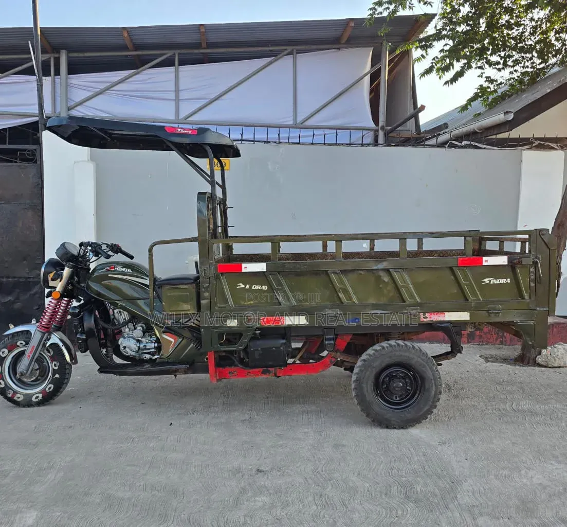 SINORAY SR250-Q7 2021 Green