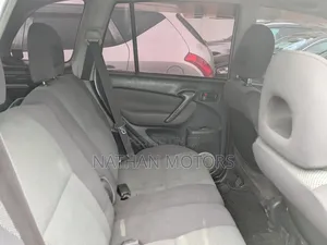 Toyota RAV4 2004 Silver
