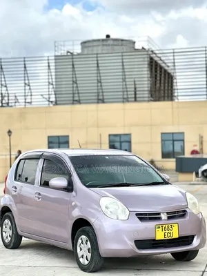Toyota Passo 2011