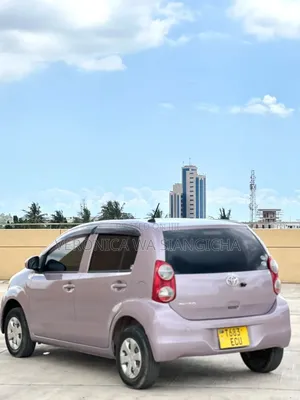 Toyota Passo 2011