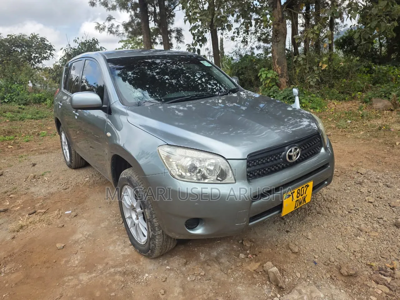 Toyota RAV4 2008 Gray