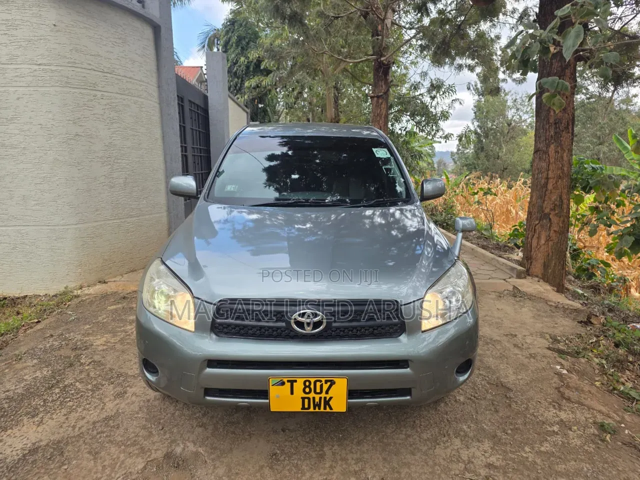 Toyota RAV4 2008 Gray