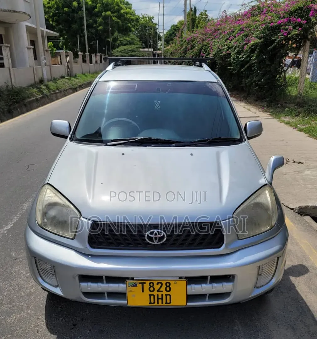 Toyota RAV4 2005 Silver