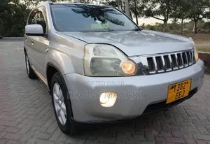 Nissan X-Trail 2010 Silver