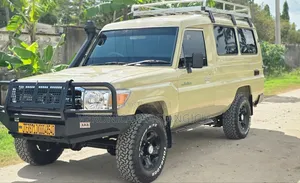 Toyota Land Cruiser 2010