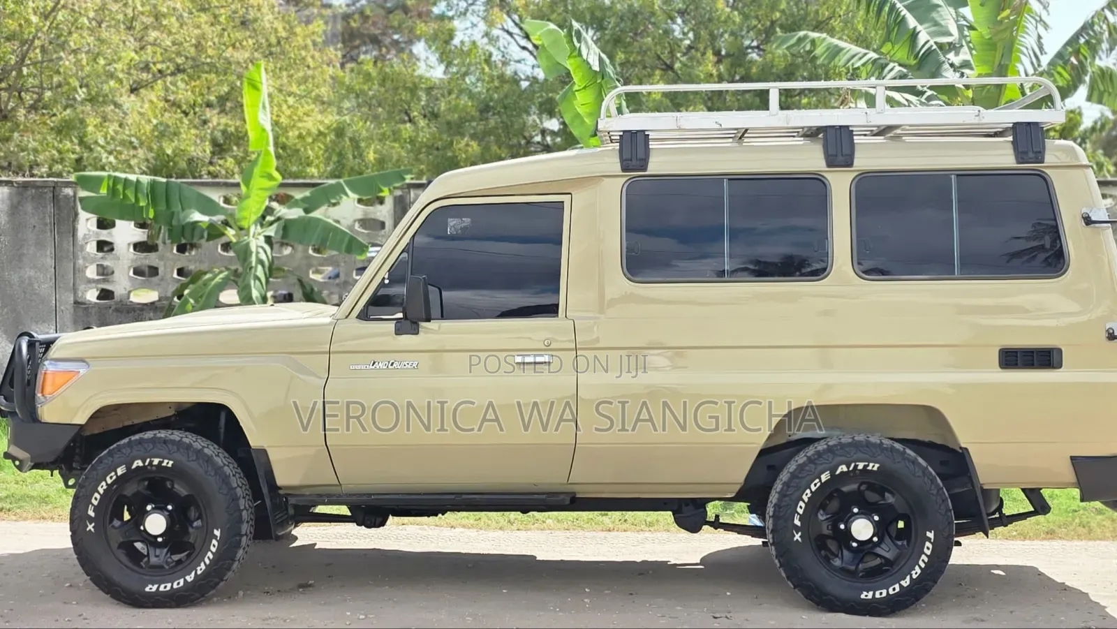 Toyota Land Cruiser 2010