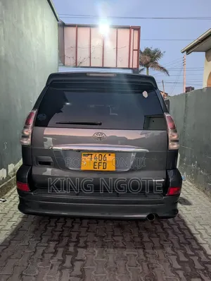 Toyota Land Cruiser Prado 2006 Gray