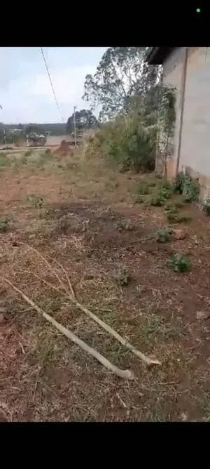 Godown for Sale at Msolwa Chalinze Coast Region 23,000 SQM