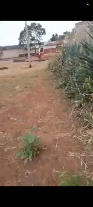 Godown for Sale at Msolwa Chalinze Coast Region 23,000 SQM