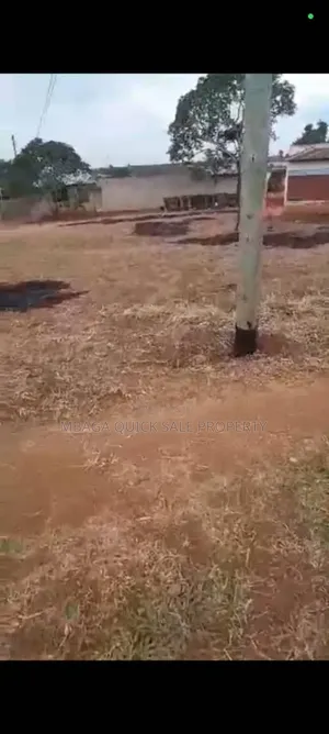 Godown for Sale at Msolwa Chalinze Coast Region 23,000 SQM