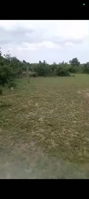 Farm for Sale at Kitopeni Coast Region 10 Acres