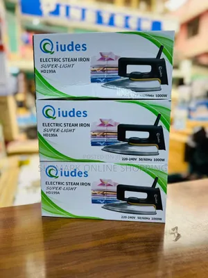 Qiudes Electric Steam Iron 1000W