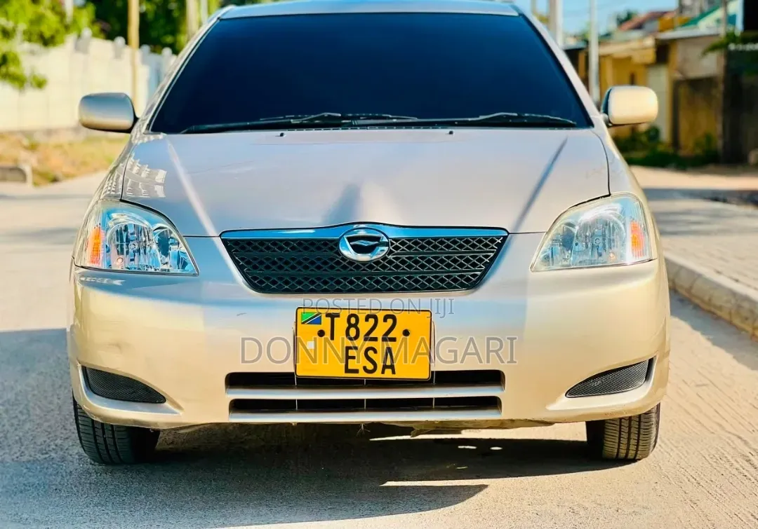 Toyota Corolla RunX 2003 Gold