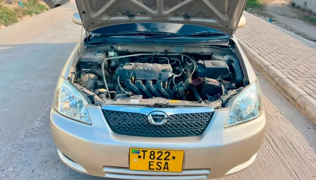 Toyota Corolla RunX 2003 Gold