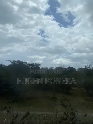 Shamba Ekari Nane Zinauzwa