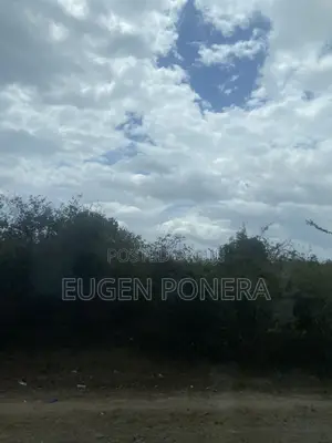 Shamba Ekari Nane Zinauzwa