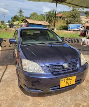 Toyota Allex 2005 Purple