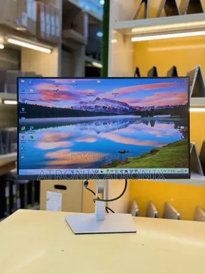 Dell P2422 Monitor