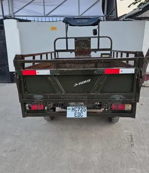 SINORAY SR250-Q7 2021 Green