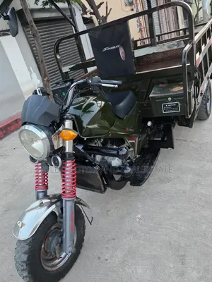 SINORAY SR250-Q7 2021 Green