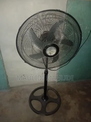 Dolphin Stand Fan