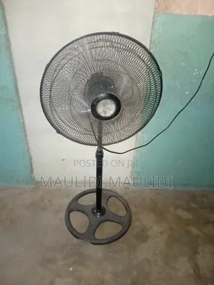 Dolphin Stand Fan