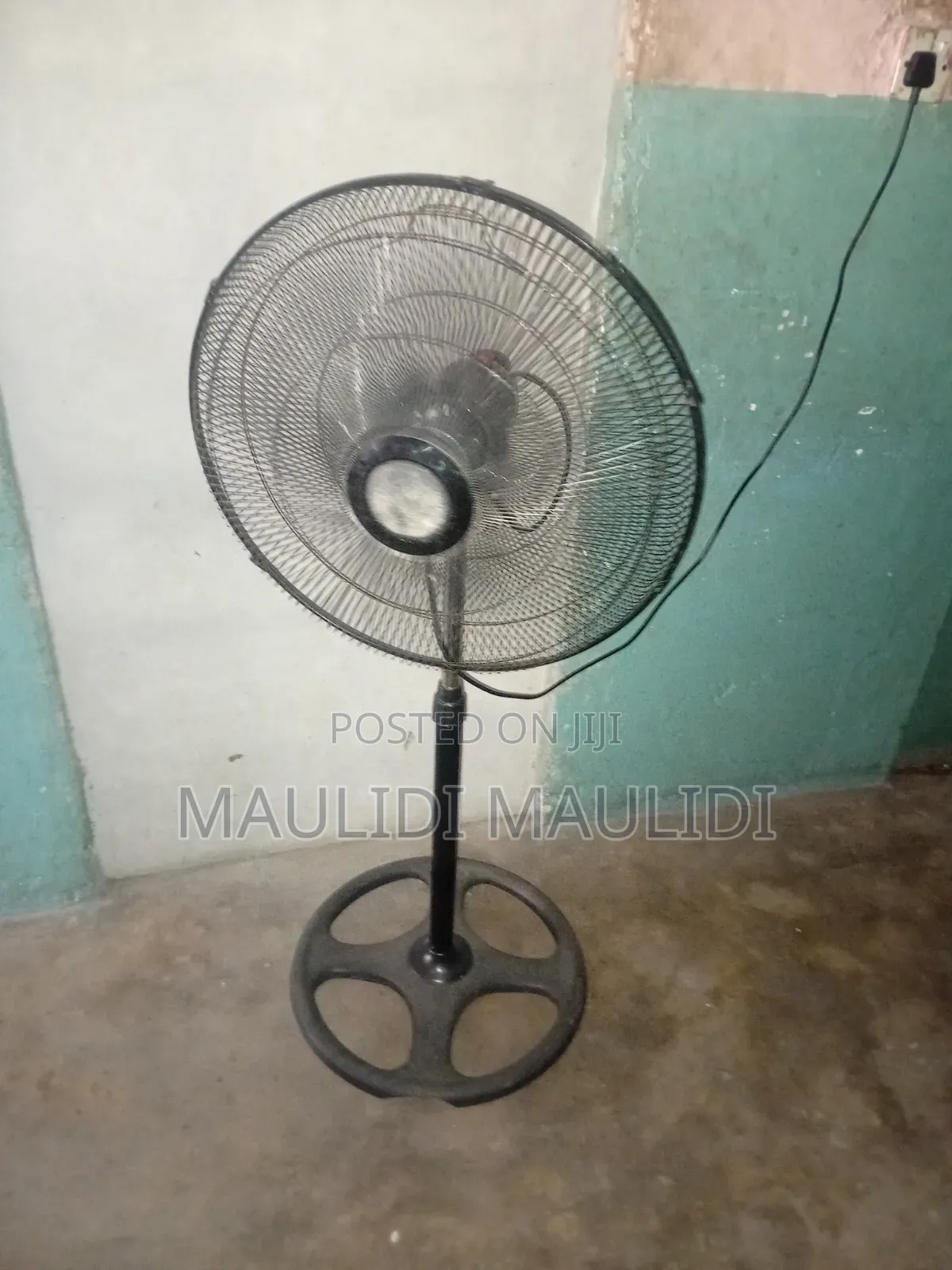 Dolphin Stand Fan