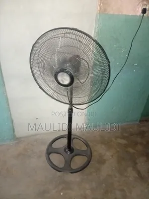 Dolphin Stand Fan
