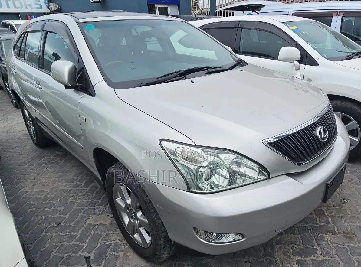 Lexus RX 300 2006 Silver