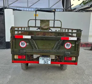 SINORAY SR250-Q7 2021 Green