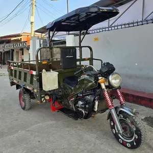 SINORAY SR250-Q7 2021 Green
