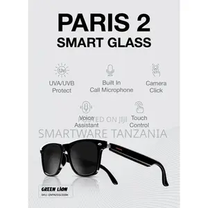 Green Lion Paris 2 Smart Glasses With Bluetooth 5.3, Mic, and BT Call