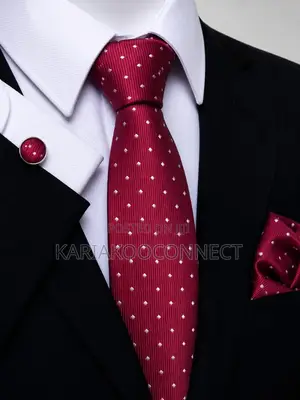 Men’s Premium Silk Polka Dot Necktie