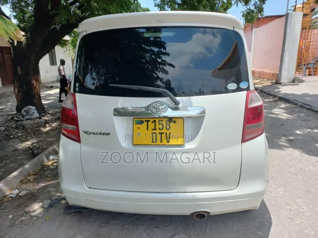 Toyota Ractis 2009 Pearl
