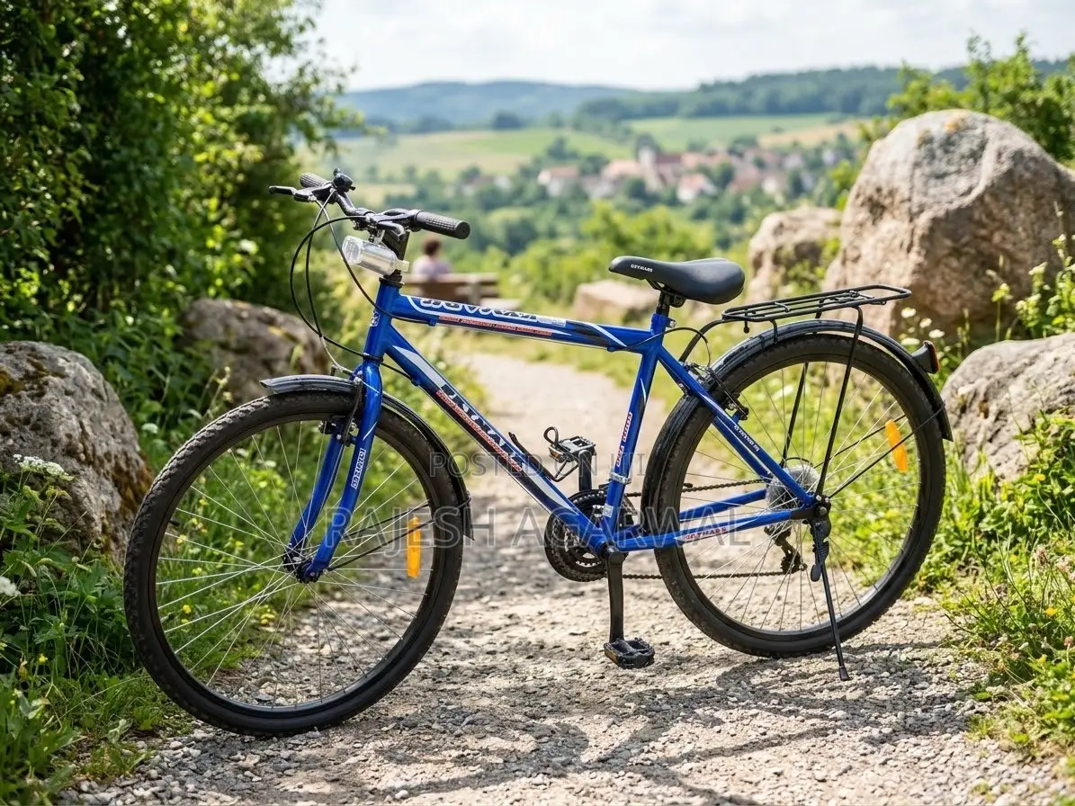 Bicycle Adult Premium