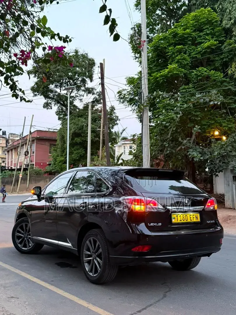 Lexus RX 2014 Black
