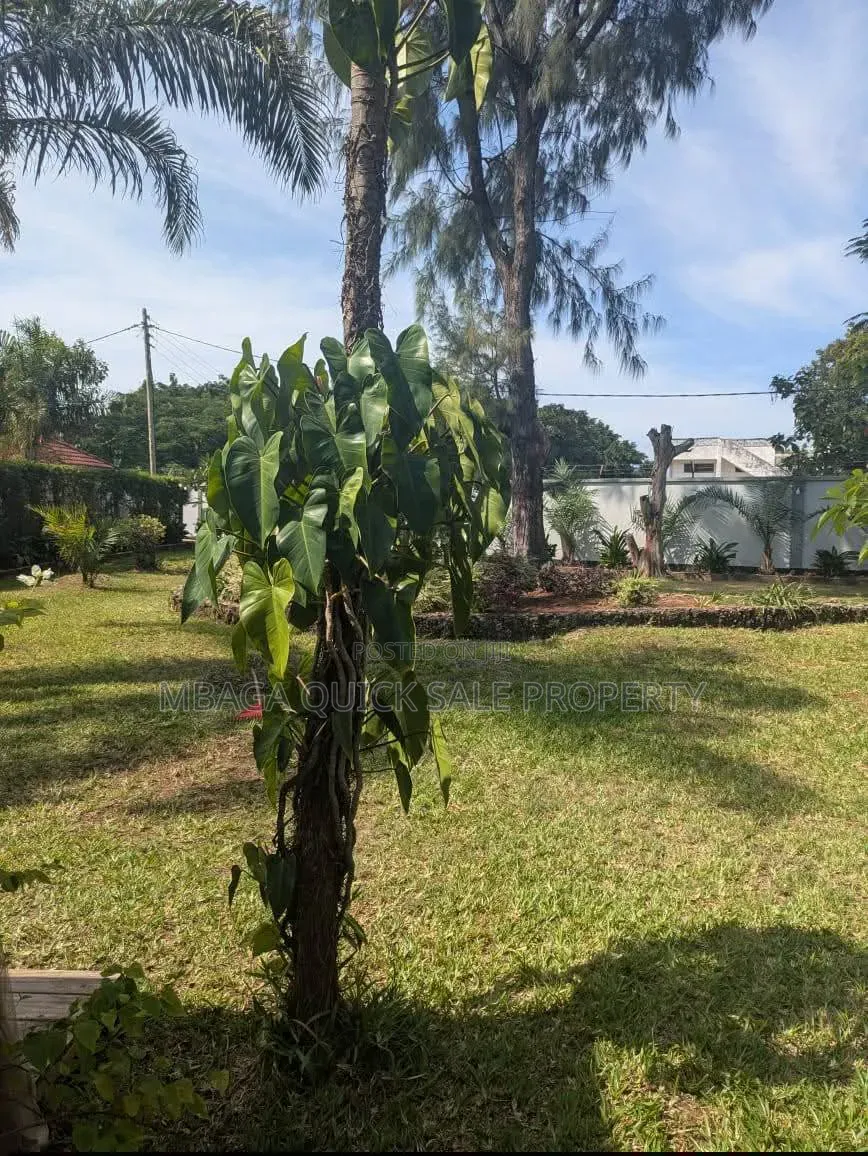 Furnished 4bdrm Villa in Masaki for rent