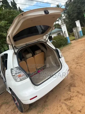 Toyota Corolla Spacio 2003 Pearl