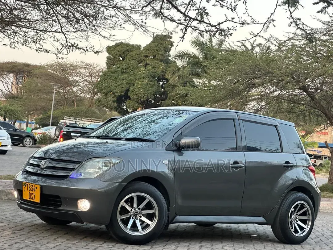 Toyota IST 2004 Gray