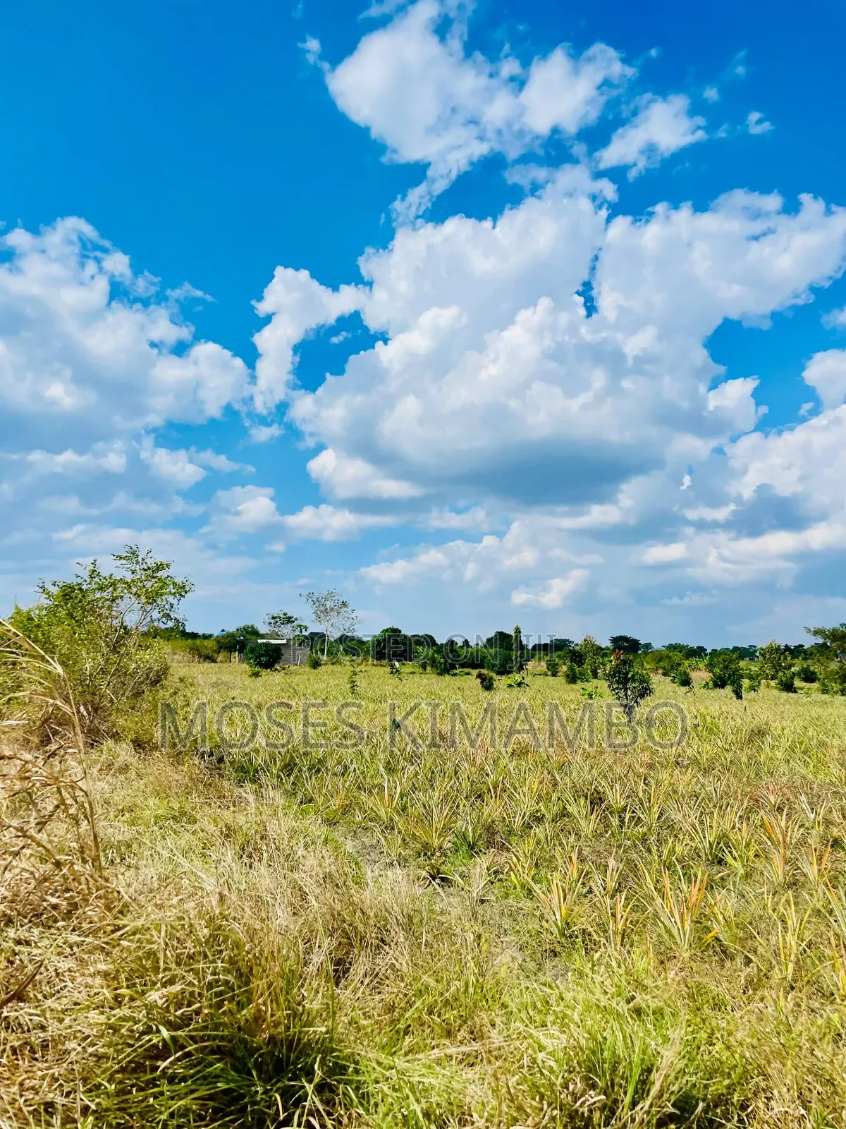 Africa Digital Investment Group Wauzaji Wa Viwanja Na Mashamba