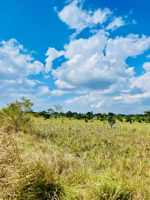 Africa Digital Investment Group Wauzaji Wa Viwanja Na Mashamba
