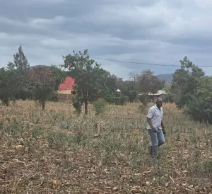 Moshi  Njiapanda Ya Himo