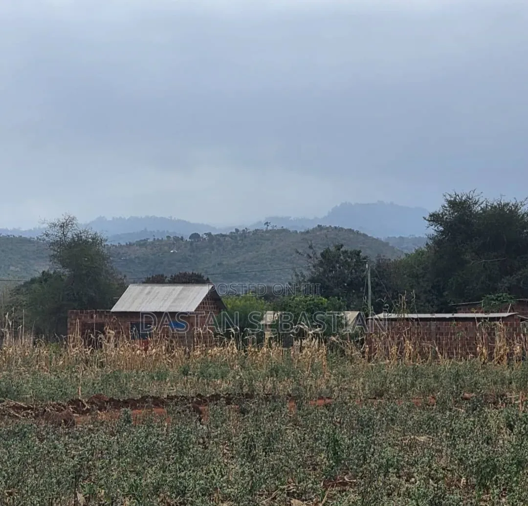 Moshi  Njiapanda Ya Himo