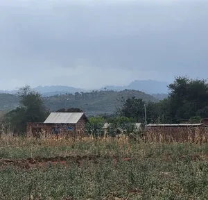 Moshi  Njiapanda Ya Himo