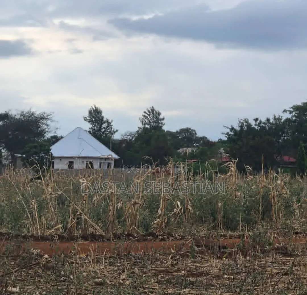 Moshi  Njiapanda Ya Himo
