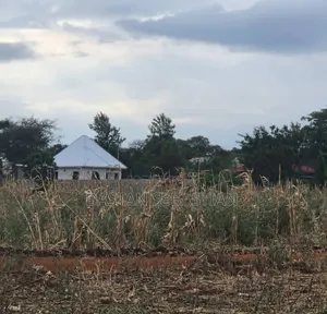 Moshi  Njiapanda Ya Himo