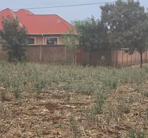 Moshi  Njiapanda Ya Himo