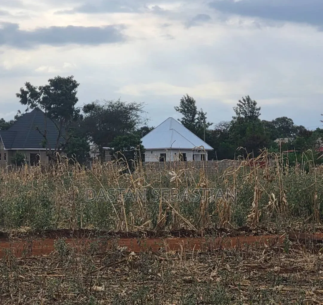 Moshi  Njiapanda Ya Himo