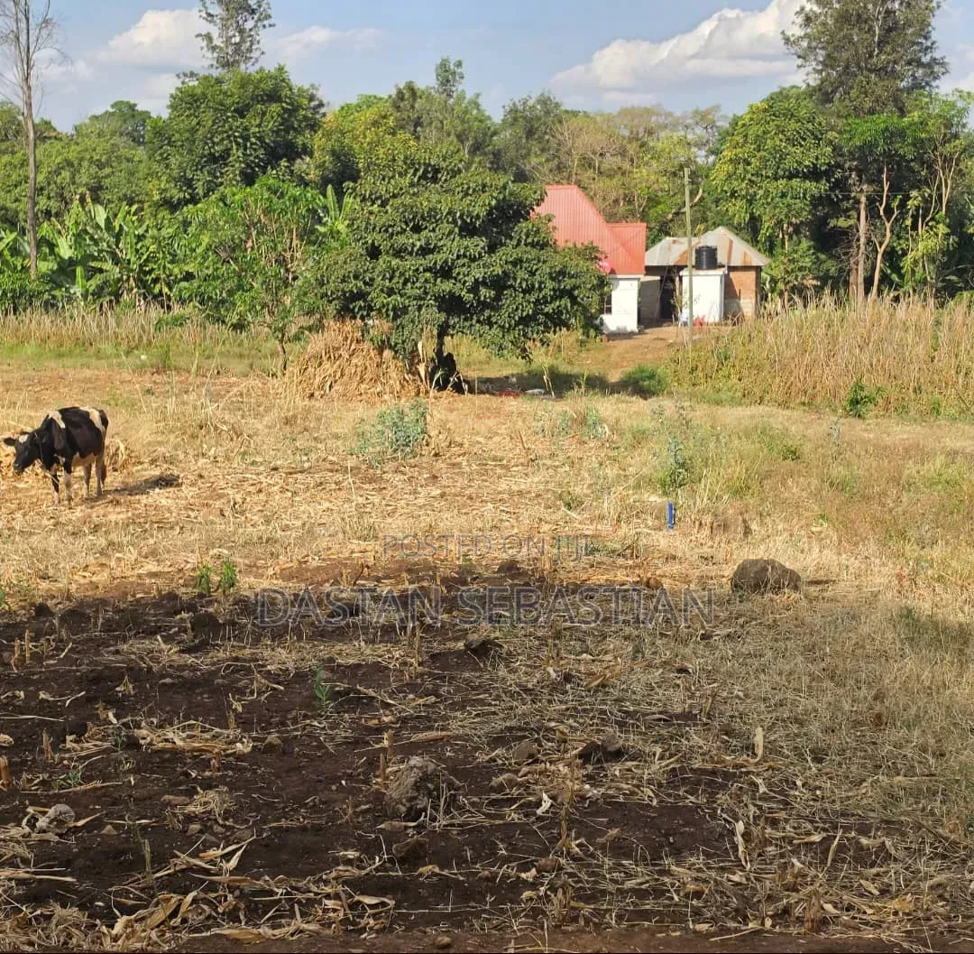 Nambala Karibu Na Chuo Cha Neslon Mandela East Africa Road
