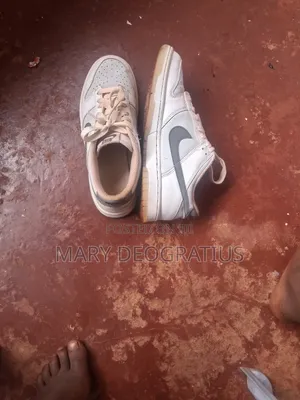 Nike Air Shoes White Wolf